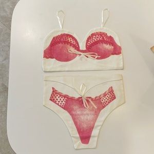 Bra and panty travel bag set.
